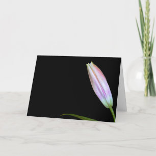 De Knop van de Lelie van de dromer Kaart