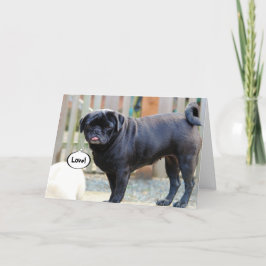 De knorrige Pug Kaart van de Valentijnsdag