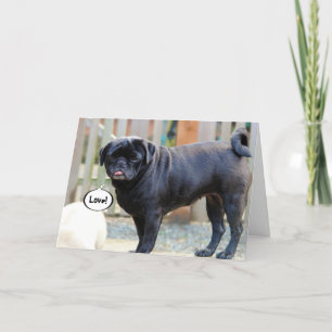 De knorrige Pug Kaart van de Valentijnsdag