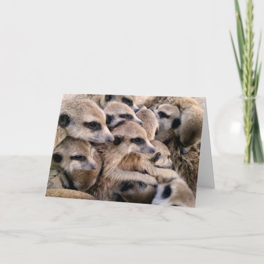 De knuffels van de vakantie feestdagen kaart (Voorkant)