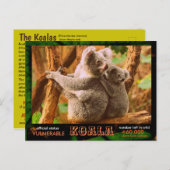 De KOALA (Beer) is bedreigd en luidt als volgt:  - Briefkaart (Voorkant / Achterkant)