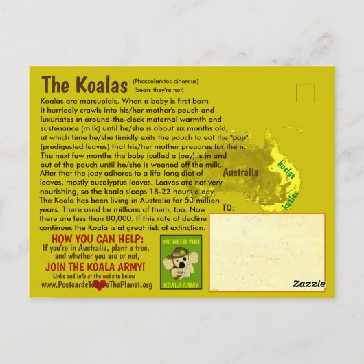 De KOALA (Beer) is bedreigd en luidt als volgt: - Briefkaart (Achterkant)