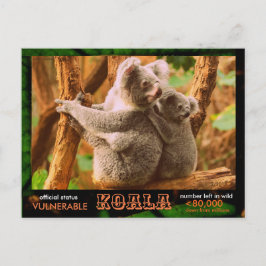 De KOALA (Beer) is bedreigd en luidt als volgt:  - Briefkaart