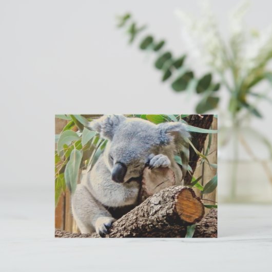 De Koala van de slaap Briefkaart (Staand voorkant)