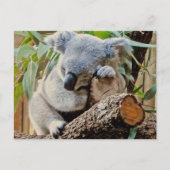 De Koala van de slaap Briefkaart (Voorkant)