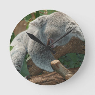 De koala's houden van de Giften van het Lot van Di Ronde Klok