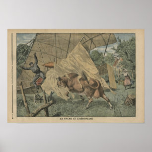 De koe en het vliegtuig poster
