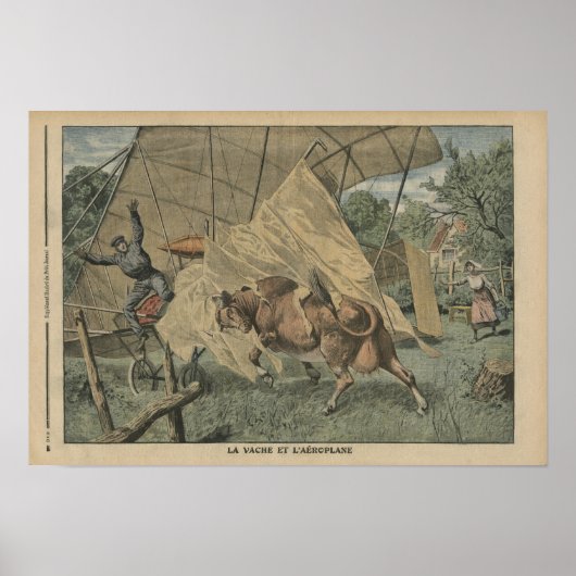 De koe en het vliegtuig poster (Voorkant)