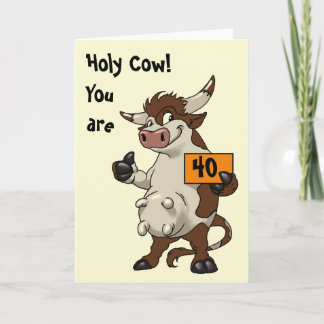De Koe van de hulst u is Grappige Verjaardag 40 Kaart