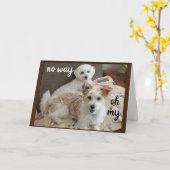 DE KOE ZEGT: "JULLIE WORDEN ZEVENTIG" KAART (Gele Bloem)