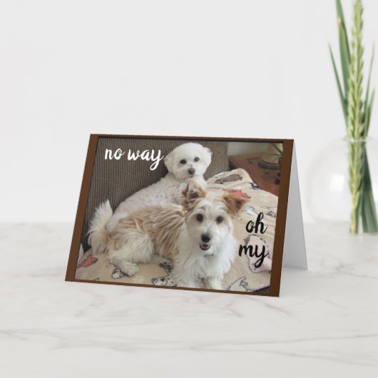 DE KOE ZEGT: "JULLIE WORDEN ZEVENTIG" KAART (Voorkant)