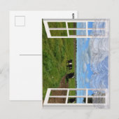 De Koeien van de Galloway door een Venster, Briefk Briefkaart (Voorkant / Achterkant)