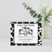 De Koeien van de Wondenweddenschap sparen het Brie Aankondigingskaart (Staand voorkant)