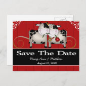 De Koeien van het huwelijk sparen het Briefkaart v (Voorkant / Achterkant)