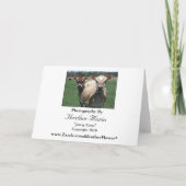 De Koeien van Jersey Kaart (Achterkant)