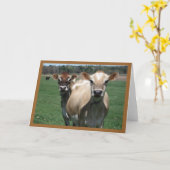 De Koeien van Jersey Kaart (Gele Bloem)