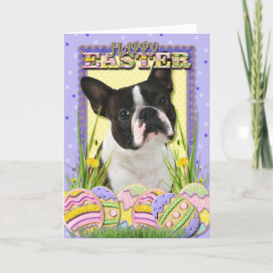 De Koekjes van het Paasei - Boston Terrier Feestdagen Kaart