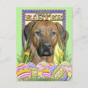 De Koekjes van het Paasei - Rhodesian Ridgeback Feestdagenkaart