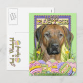 De Koekjes van het Paasei - Rhodesian Ridgeback Feestdagenkaart (Voorkant / Achterkant)
