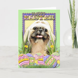 De Koekjes van het Paasei - Shih Tzu - Opaal Feestdagen Kaart