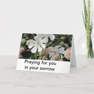 De Koekoeksbloemen van de blaas, Cornwall Kaart