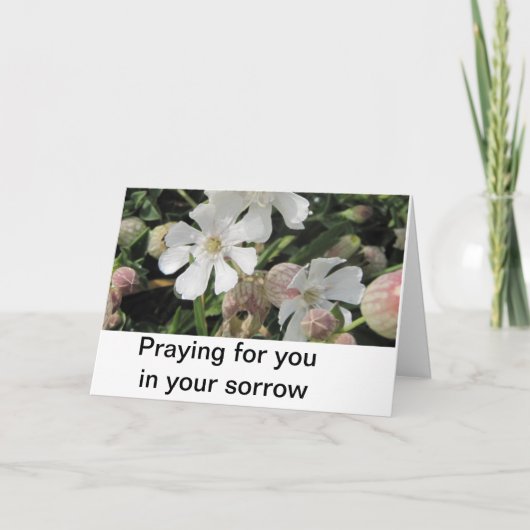 De Koekoeksbloemen van de blaas, Cornwall Kaart (Voorkant)