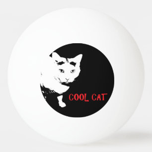 DE KOELE BAL VAN DE PINGPONG VAN DE KAT PINGPONGBAL