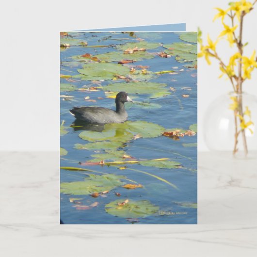 De koet kaart (Gele Bloem)