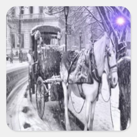 De koetsier, mooie Stickers (Voorkant)