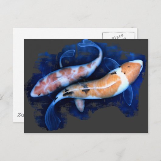 De Koi Tango Briefkaart (Voorkant / Achterkant)