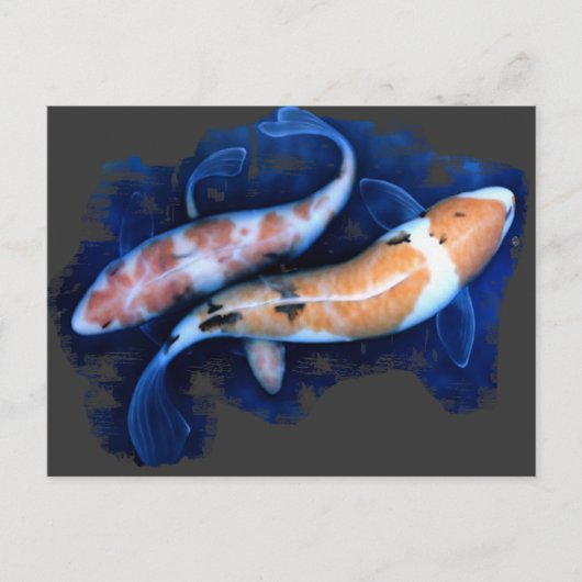 De Koi Tango Briefkaart (Voorkant)