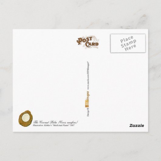 De kokospalm - illustratie briefkaart (Achterkant)