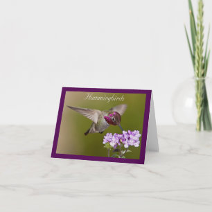 De kolibrie neemt nota tijdens de vlucht van Kaart