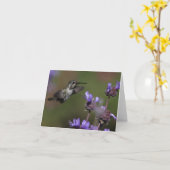 De Kolibrie van Costa - Joe Sweeney - kaart (Gele Bloem)