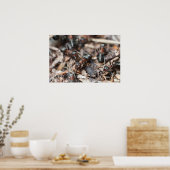 De kolonie van Ant Poster (Keuken)