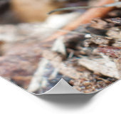 De kolonie van Ant Poster (Hoek)