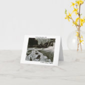 de komeet schommelt 74, Smokey Bergen, NC, Ca… Kaart (Gele Bloem)