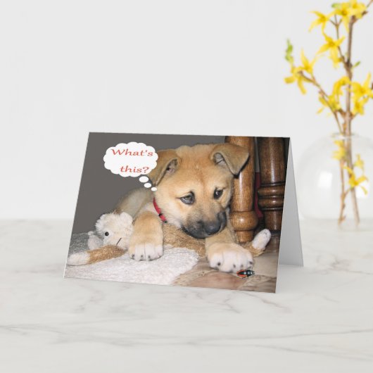 De komische Humor van de Verjaardag Kaart (Gele Bloem)