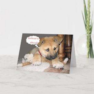 De komische Humor van de Verjaardag Kaart