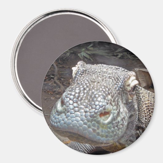 De Komodo look Magneet (Voorkant / Achterkant)