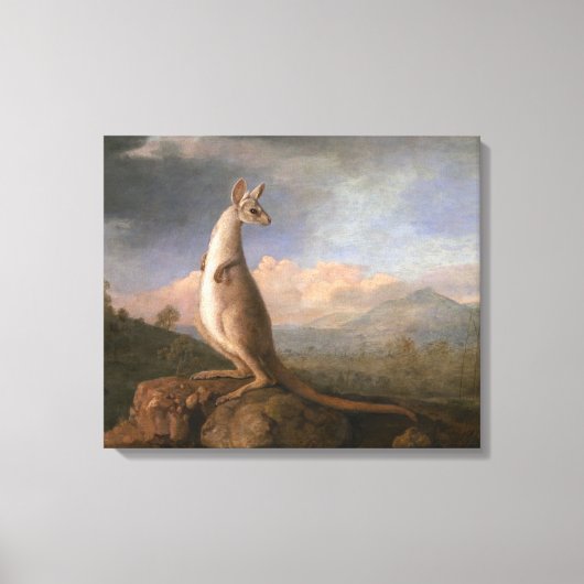 De Kongouro uit New Holland door George Stubbs Canvas Afdruk (Voorkant)