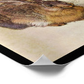 DE KONIJN ( Jong Haas ) Poster (Hoek)