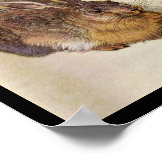 DE KONIJN ( Jong Haas ) Poster (Hoek)