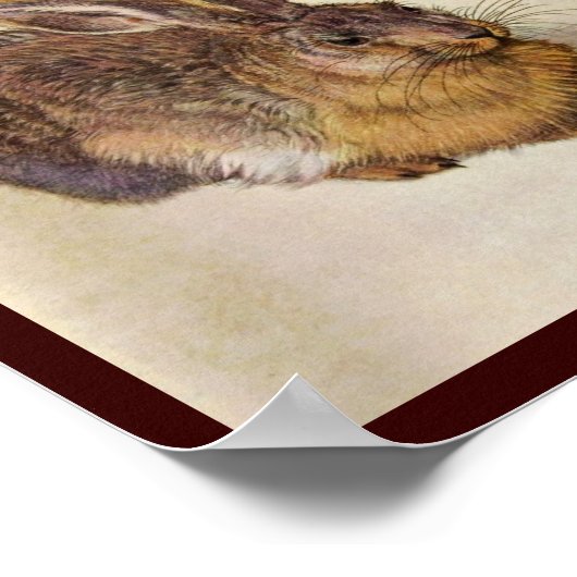 DE KONIJN (Jong konijn) Poster (Hoek)