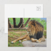 De koning briefkaart (Voorkant / Achterkant)
