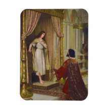 De koning en het bedelmeisje