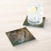 De Koning Glas Onderzetter (Schuin)