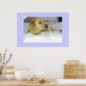 De koning in de sneeuw - Labrador winter scene Poster (Keuken)