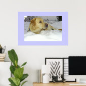 De koning in de sneeuw - Labrador winter scene Poster (Thuiskantoor)