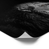 De Koning, Leeuw, zwarte en witte fotografie Poster (Hoek)